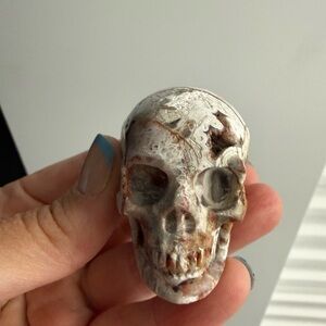 Crazy Lace Agate Skull